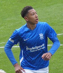 Jobe Bellingham Picture