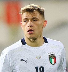 Nicolo Barella Picture